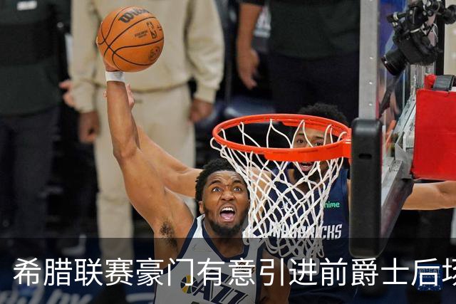 希腊联赛豪门有意引进前爵士后场，但他与立陶宛劲旅仍有合同在身